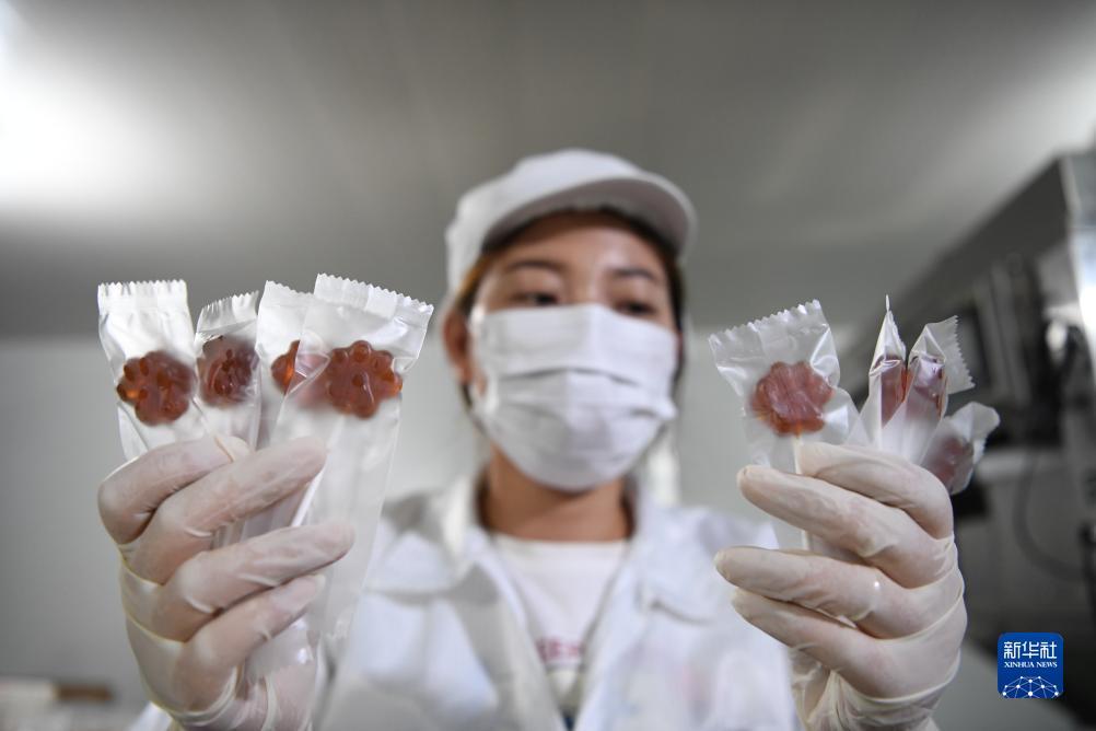 轮盘游戏下载